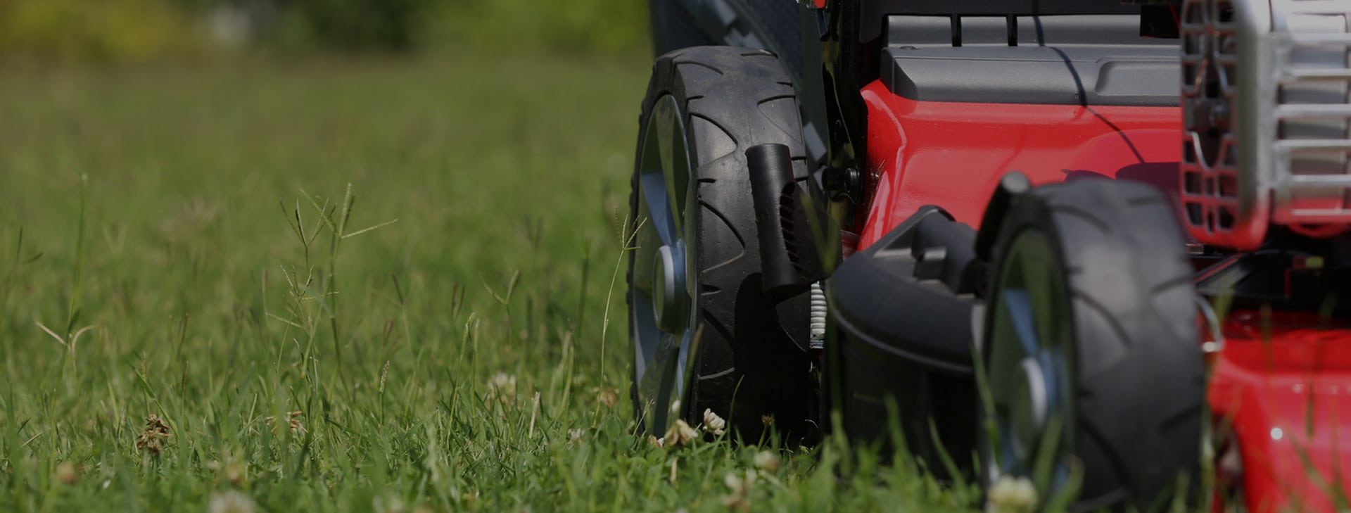 LAWN MOWER