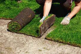 SOD INSTALLATION